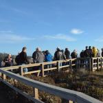 Cambria_0231 (November 02, 2013)